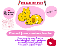 Pet Sitter Bucuresti Sector 4 – vizite la domiciliu pentru pisici si caini