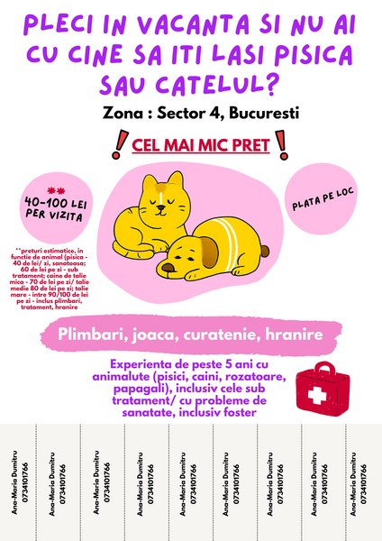 Pet Sitter Bucuresti Sector 4 – vizite la domiciliu pentru pisici si caini